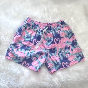 Men’s Chubbies Swim Trunks